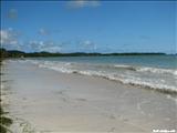 Los Machos Beach - CEIBA